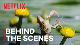 Our Living World  Shooting Frogs  Netflix