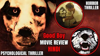 Good Boy Movie Review  Good Boy 2022 Review  Good Boy Review Hindi  Good Boy Trailer Hindi