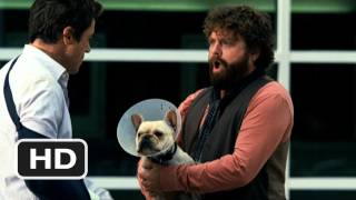 Due Date Official Trailer 2  2010 HD