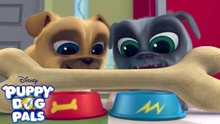 Theme Song  Puppy Dog Pals  Disney Junior