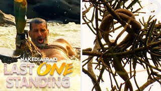 Most Dangerous Moments of Season 1  Naked and Afraid Last One Standing  Discovery