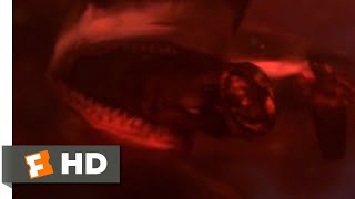 6Headed Shark Attack 2018  Surprise Kill Scene 410  Movieclips