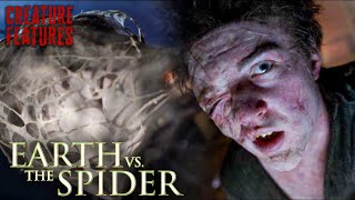 Dozens Of Webbed Bodies  Earth Vs The Spider  Creature Features