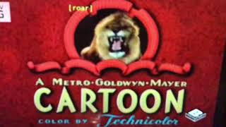 Baby Puss 1943 Intro  on Boomerang