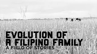 Evolution of a Filipino Family 2004  A Field of Stories