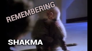 Remembering Shakma 1990