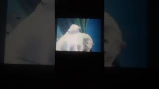 The Little Polar Bear 2001 Animated Movie Trailer