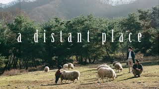 A DISTANT PLACE Trailer  Stream it Now on HighballTV