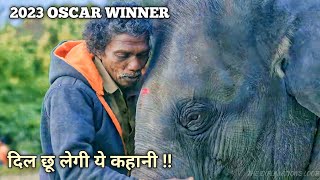 OSCAR WINNER SHORT FILM  The Elephant Whisperers 2022    