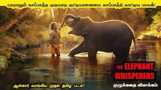 The Elephant Whisperers 2022 Full Movie Explaination and Review  Mr Kutty Kadhai