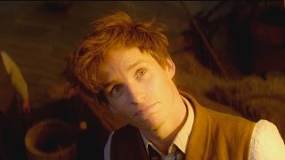 Fantastic Beasts And Where To Find Them  A Look Behind The Magic 2016 exclusive video