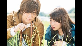 Evergreen Love 2016 Movie Explanation  A Heartfelt Japanese Romance