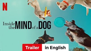 Inside the Mind of a Dog  Trailer in English  Netflix