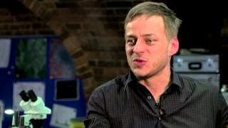 Tom Wlaschiha Interview   Crossing Lines