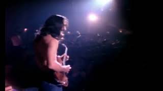 Frank Zappa  Muffin Man  Live Palladium 1977 HD