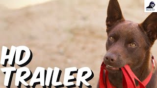 Koko A Red Dog Story Official Trailer 2023  Jason Isaacs Sarah Woods Toby Truslove