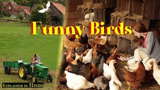 Funny birds 2024 Movie Explained  Movie Explanation in Hindi  Au fil des saisons