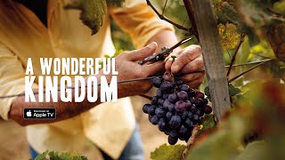 A Wonderful Kingdom Trailer 2021 Apple TV  Amazon