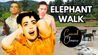 Elephant Walk 1954 Elizabeth Taylor Peter Finch Dana Andrews full movie reaction