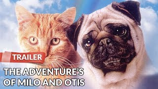 The Adventures of Milo and Otis 1986 Trailer  Kyko Koizumi  Dudley Moore