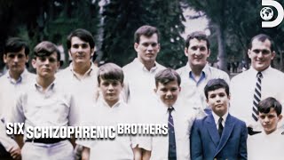 The Galvin Familys Battle with Schizophrenia  Six Schizophrenic Brothers  Discovery