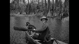 Swamp Water 1941 Dana Andrews Anne Baxter  Walter Brennan