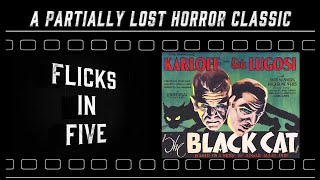 The Black Cat  A Partially Lost Horror Classic