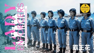 THE INSPECTOR WEARS SKIRTS  TOP SQUAD  1988 Retrospective