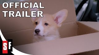 A Very Corgi Christmas 2019  Official Trailer HD