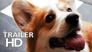 A Very Corgi Christmas 2019  Official Trailer  Romance Movies