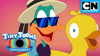 SPECIAL Spring Beak   Tiny Toons Looniversity  Cartoon Network