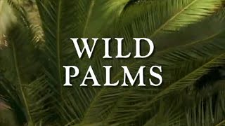 Classic TV Theme Wild Palms Full Stereo