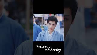   Blossoms in Adversity  YOUKU Shorts