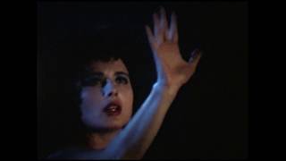 Blue Velvet Revisited trailer  directed by Peter Braatz David Lynch