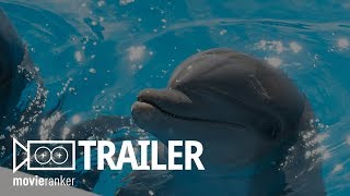 Bernie the Dolphin  Official Movie Trailer Starring Kevin Sorbo