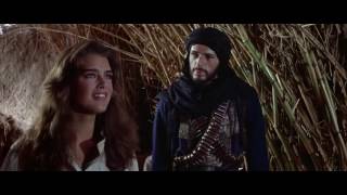 Sahara 1983  Brooke Shields  Barbra Streisand    Woman in Love