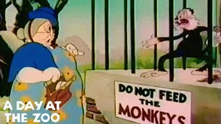 A Day at the Zoo 1939 Warner Bros Merrie Melodies Cartoon Short Film  Review