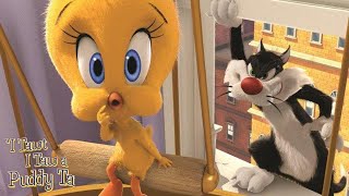 I Tawt I Taw a Puddy Tat 2011 Looney Tunes Sylvester and Tweety Cartoon Short Film  Review