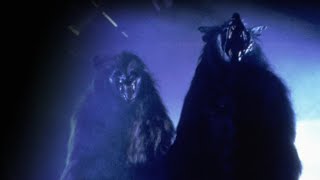 WEREWOLF 1987 TRAILER