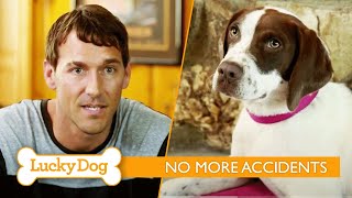 How to House Train a Puppy Using a Pen  Lucky Dog with Brandon McMillan