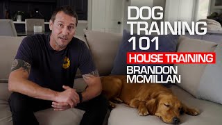 Dog Training 101 House Training  Brandon McMillan