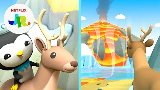 Lava Flood Reindeer Roundup  Octonauts Above  Beyond  Netflix Jr