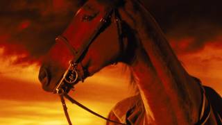 WAR HORSE Trailer 2011  Official HD