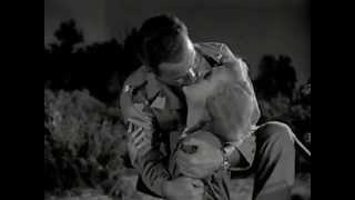 Battle Circus 1953  Humphrey Bogart  June Allison