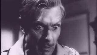 Manhandled Lewis R  Foster 1949   Trailer