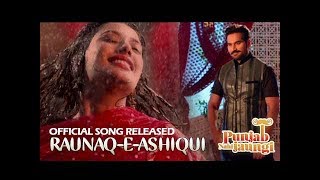 RAUNAQ E ASHIQUI  Punjab Nahi Jaungi  Humayun Saeed  Mehwish Hayat  ARY Films