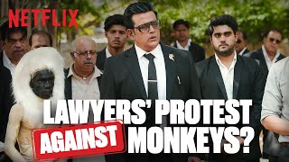 Ravi Kishan  The Lawyers Go On STRIKE Against Monkeys  in Maamla Legal Hai