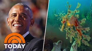 Get a sneak peek at Our Oceans narrated by Barack Obama