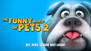 The Funny World Of Pets 2  Trailer  Simon Hill Thomas Freely Carmen Piroli