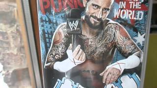 DVD Review CM Punk Best in the World 2012